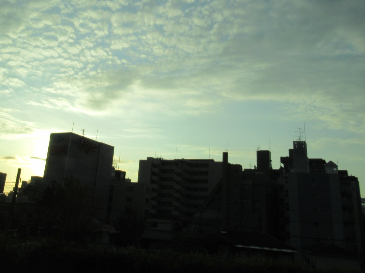 夜明けの横浜4