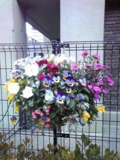 横浜の街角の花壇