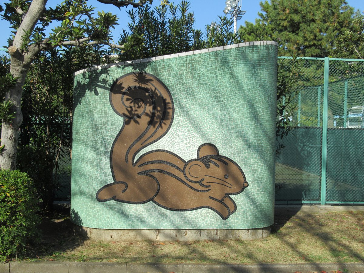 Honmoku City (Honmokushimin) Park・Picture of squirrel