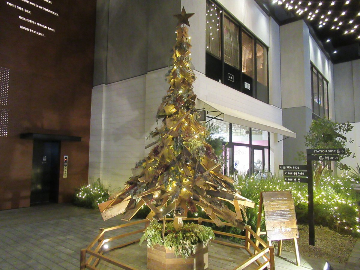 Marine ＆ Walk・Night view/Christmas Tree
