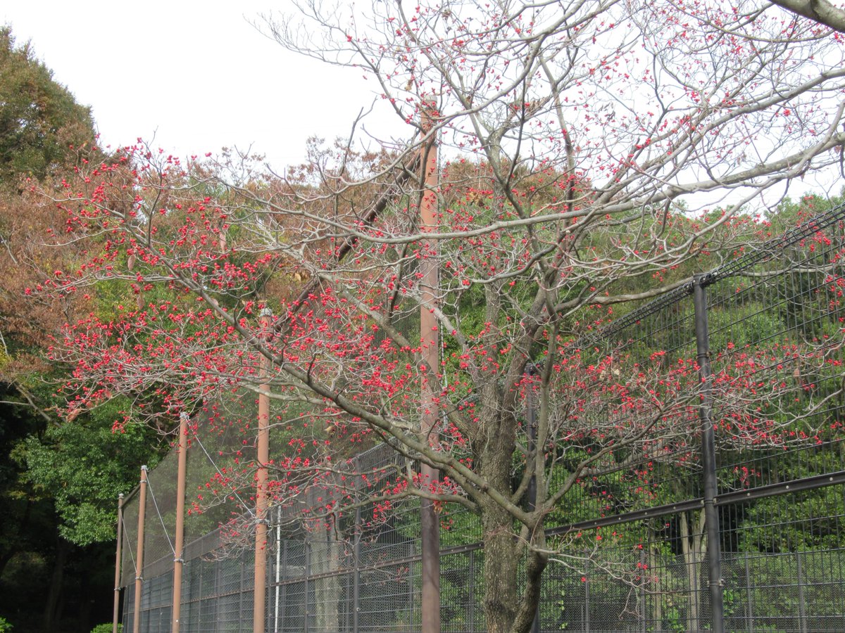 Mitsuike Park・Near North Gate・Autumn leaves2