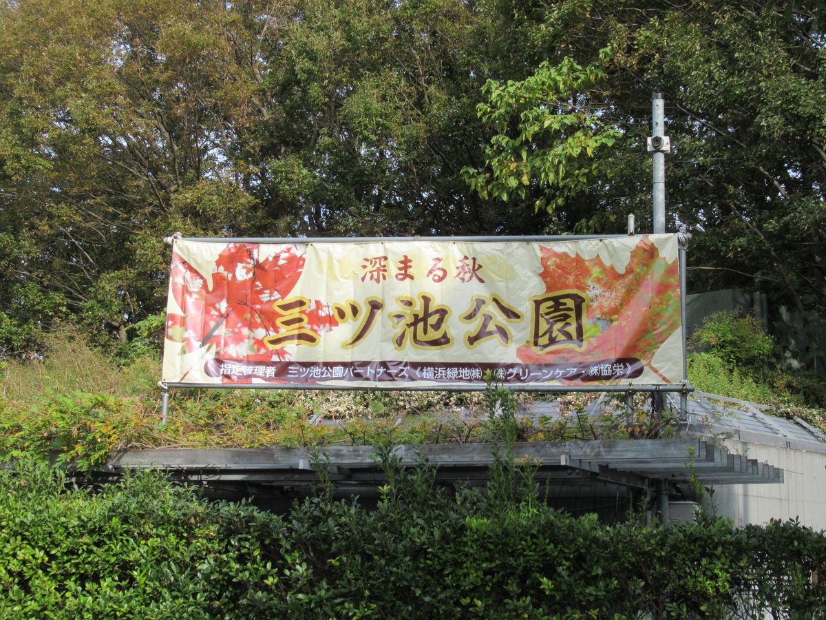 Shimonoike(Lower pond)・Autumn sign