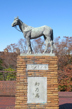 Horse Museum