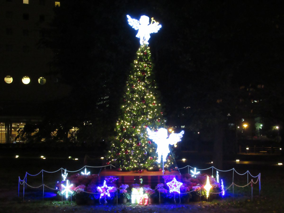 ワールドポーターズ・夜景・クリスマスツリー