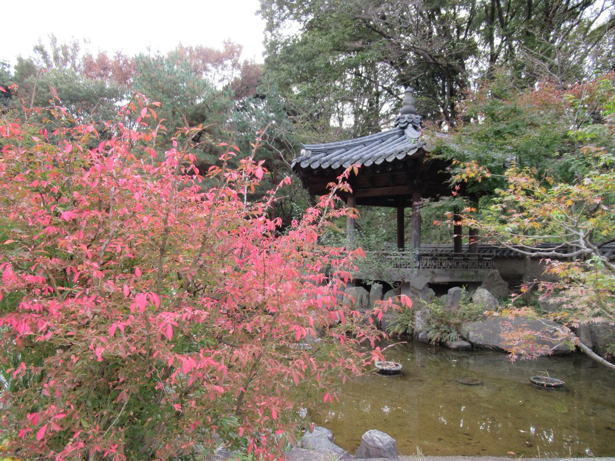 三ツ池公園内コリア庭園・休憩所と紅葉