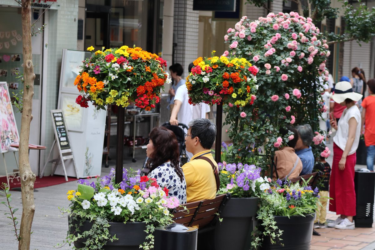 Harmony of Flower and Vessel in Motomachi-1