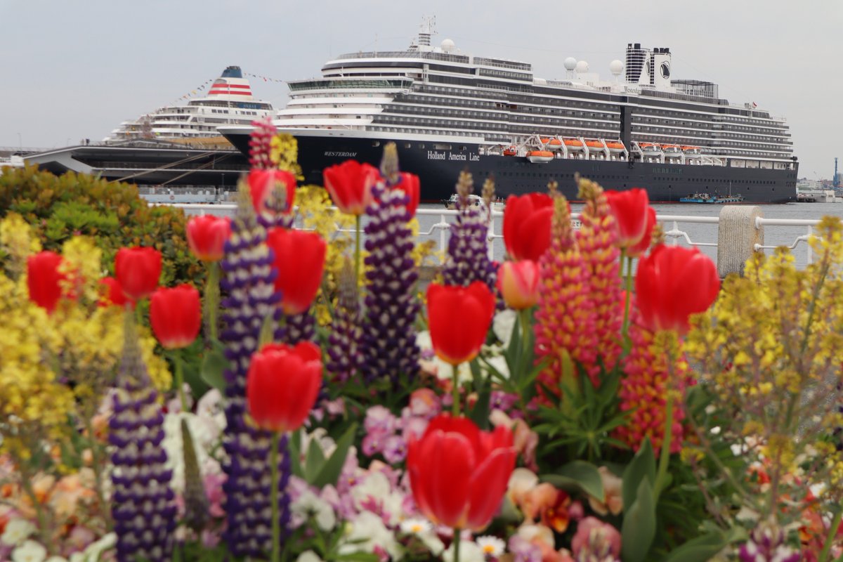 Yamashita Park・Flower and Cruise Ship-2