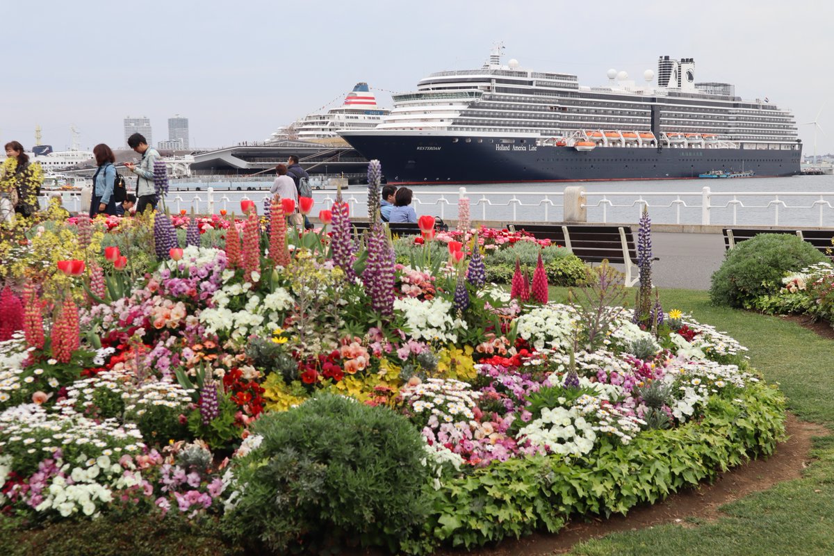Yamashita Park・Flower and Cruise Ship-3