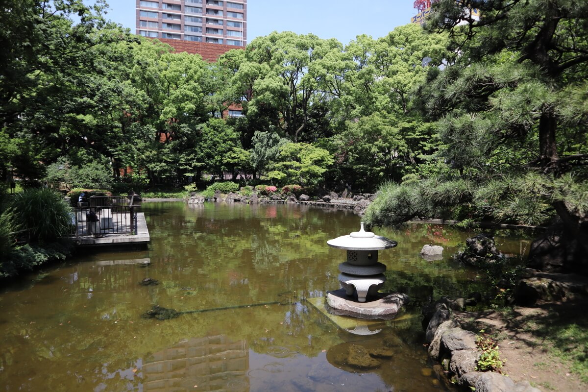 横浜公園・日本庭園・池-2